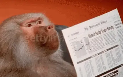 animated webp of a baboon holding a copy of the Financial Times with a serious look, the classic "reading important stuff" meme